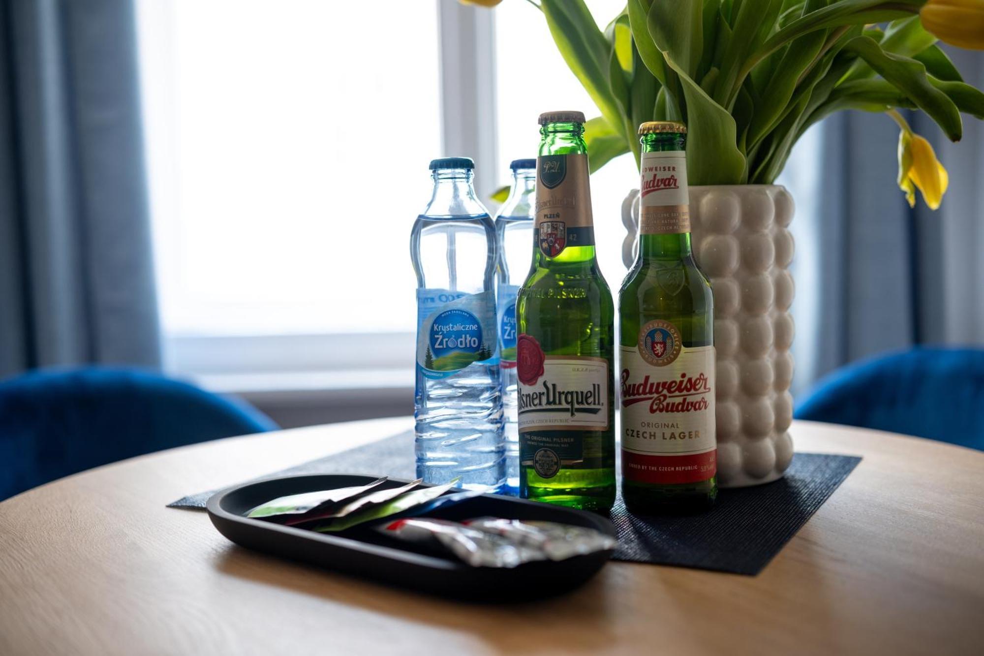 Drevny Kocur Hotel apartamentowy Poznań